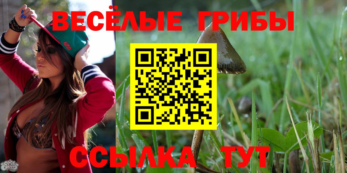 Галлюциногенные грибы Psilocybine cubensis Иваново